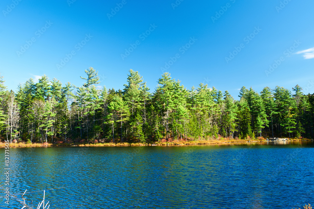 Fototapeta Pond in White Mountain National Forest, New Hampshire