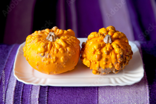 Zucca Decorativa su piatto bianco photo