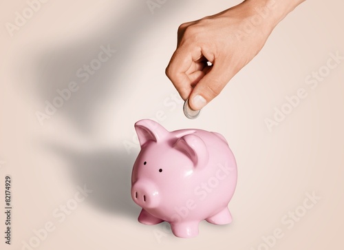 Piggy Bank. Savings