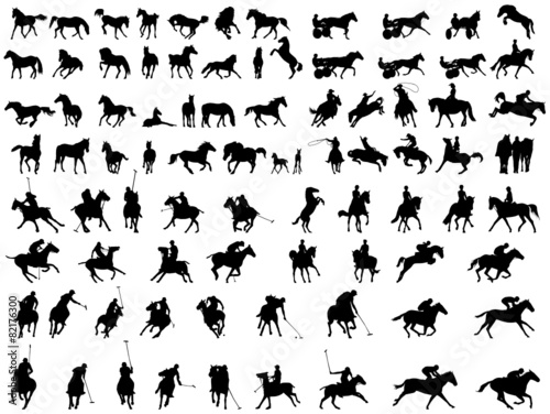 Horses