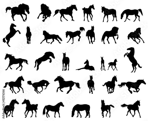 Horses