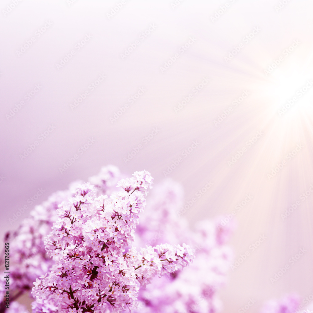 Der Frühling ist da StockFoto Adobe Stock