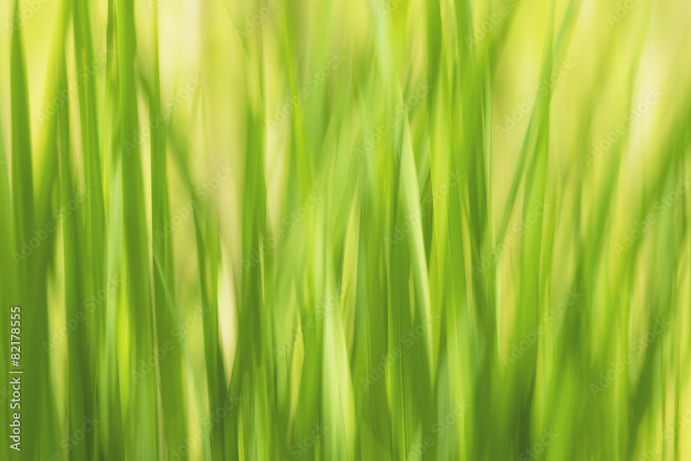 Blured grass abstract green natural background, ecological and h Blured grass abstract green natural background, ecological and h
