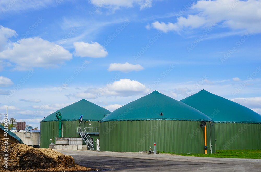 Biogasanlage - Maissilage-Anschnitt mit Maisabfällen