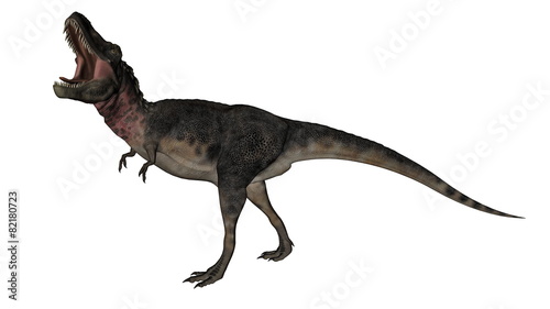 Tarbosaurus dinosaur - 3D render © Elenarts
