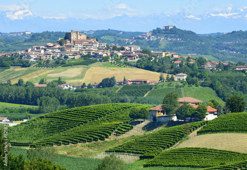 Summer landscape in Langhe  Italy 