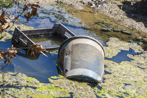 Water pollution