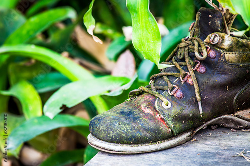 ornamental plants on old shoes