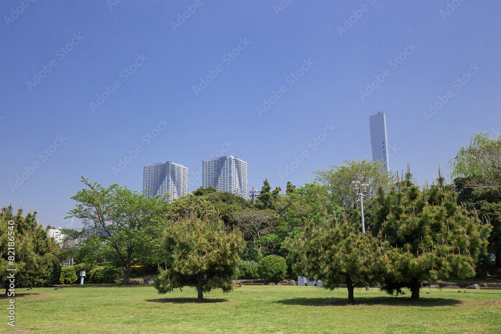 Obraz premium 晴海埠頭公園からの眺め