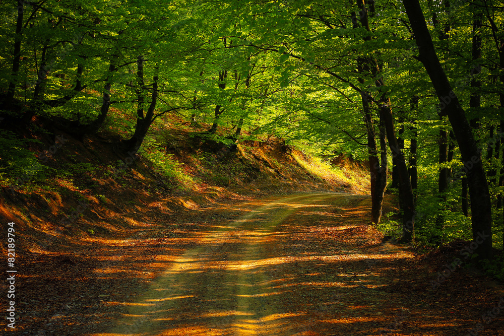 Naklejka premium The green of spring