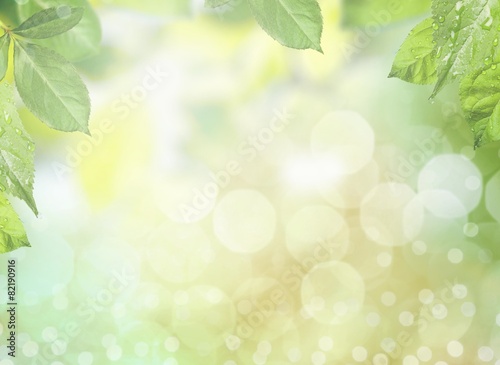 Abstract. Fresh healthy green bio background with abstract
