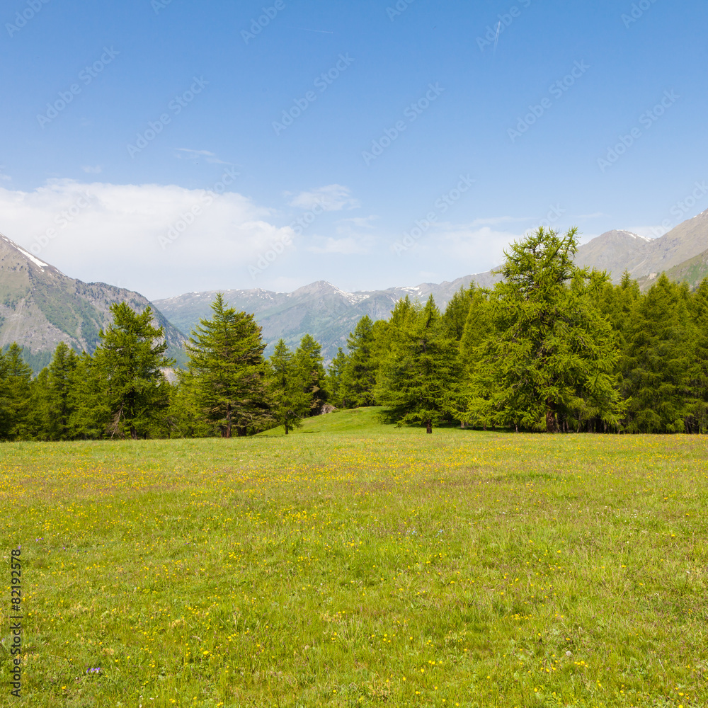 Fototapeta premium Italian Alps