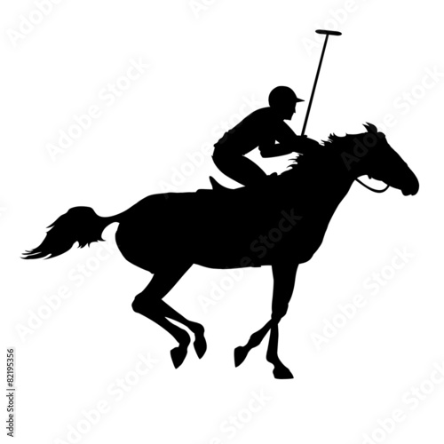 Polo game