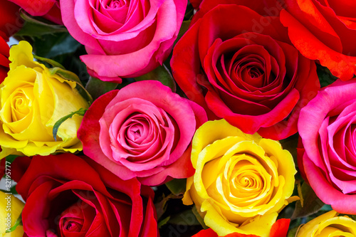 Roses background