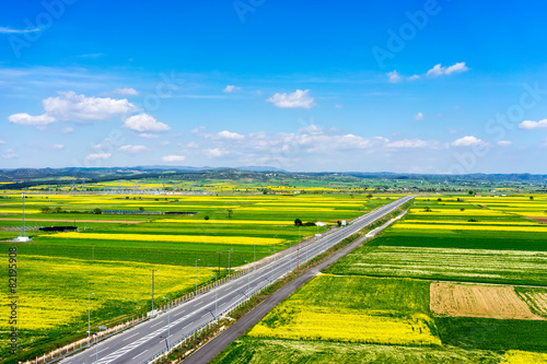 Aerial view of road passing through a rural landscape with bloom