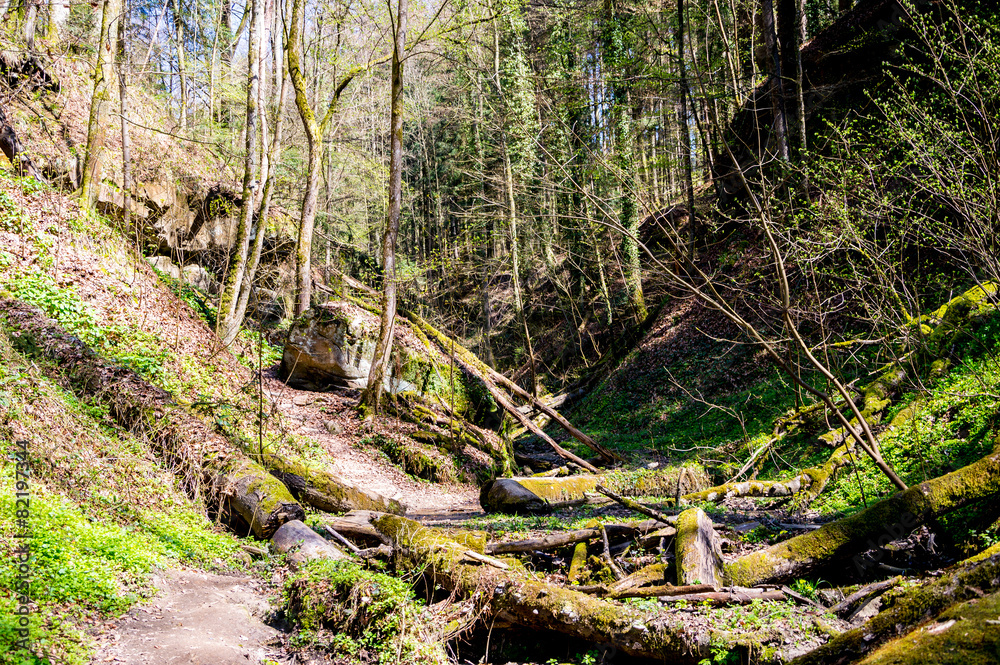 Sandsteinschlucht Sandsteinschlucht