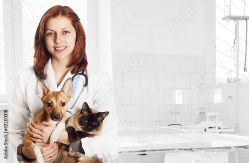 veterinarian and dog and cat at the clinic