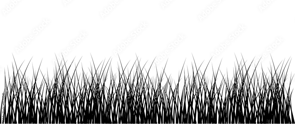 Meadow