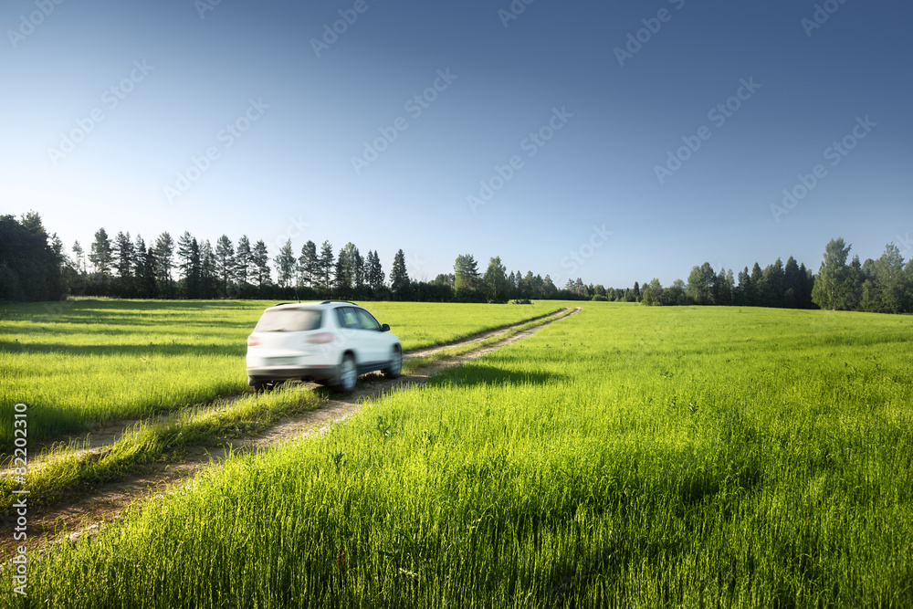 Fototapeta premium spring field and blurred car on ground road