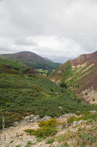 Sychnant Pass, United Kingdom mountain valley. Fern and Heather.