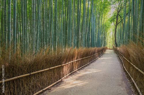 Bamboo Forest in Japan, Arashiyama, Kyoto