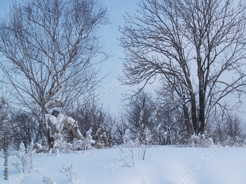 Wallpaper Mural OLYMPUS DIGITAL CAMERA Torontodigital.ca
