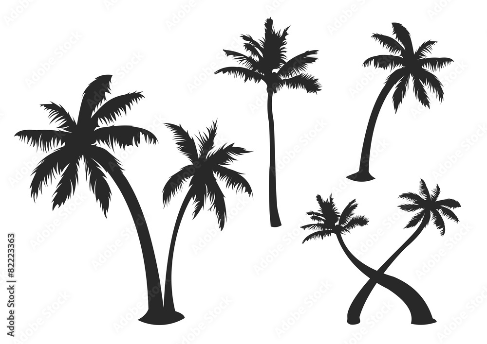 Obraz premium Palm Tree Silhouette