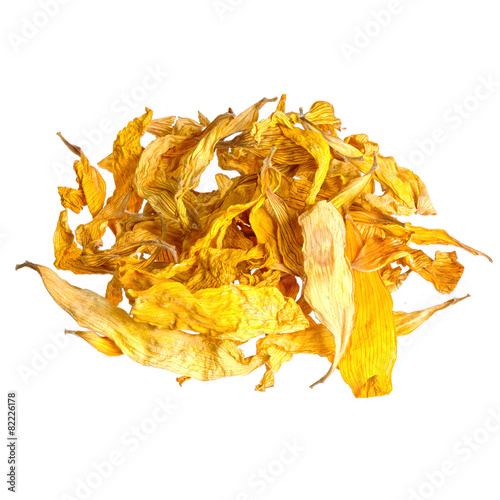 Closeup on dried sunflower petals isolated on white.