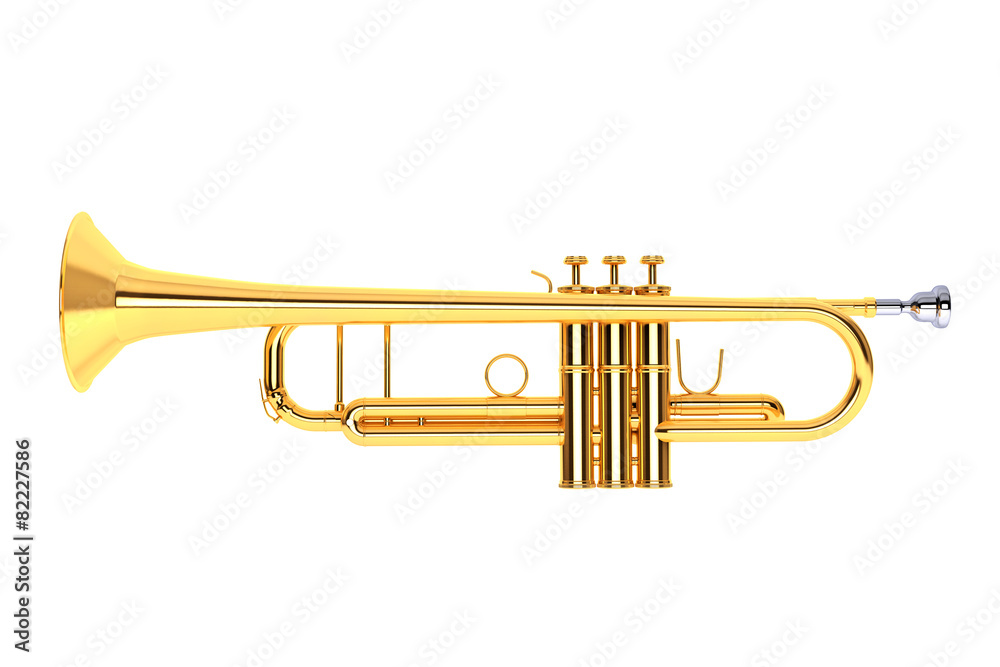 Obraz premium Polished Brass Trumpet