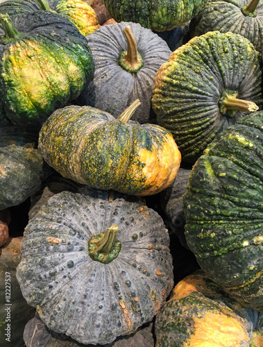 pumpkin in the market