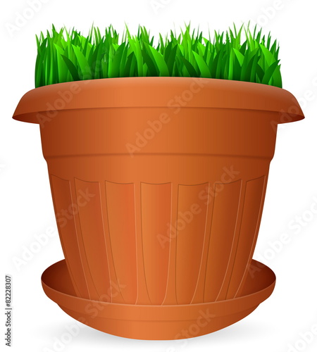 flowerpot grass