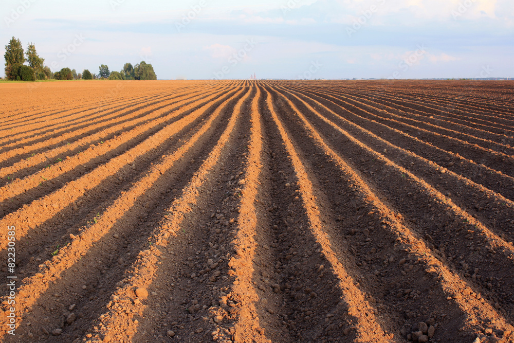 plowed field plowed field