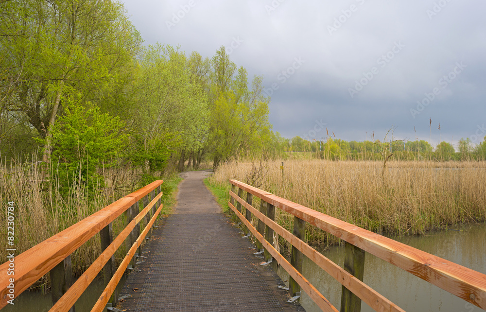 Wooden footbridge over a canal in spring