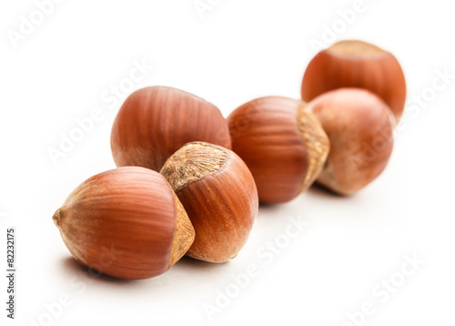 Fresh brown hazelnut