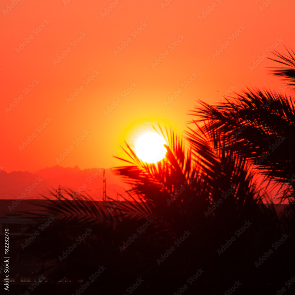 Red sunset in a desert.