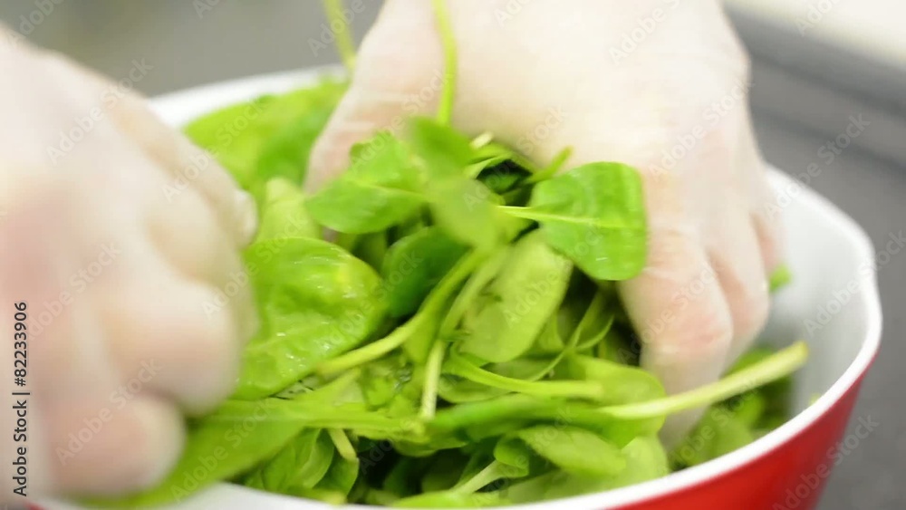 chef prepares spinach for mixing chef prepares spinach for mixing