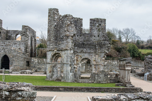 Mellifont Abbey (An Mhainistir Mhór) 