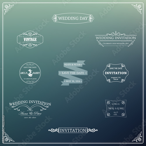 Vector design elements and calligraphic page decorations for wed