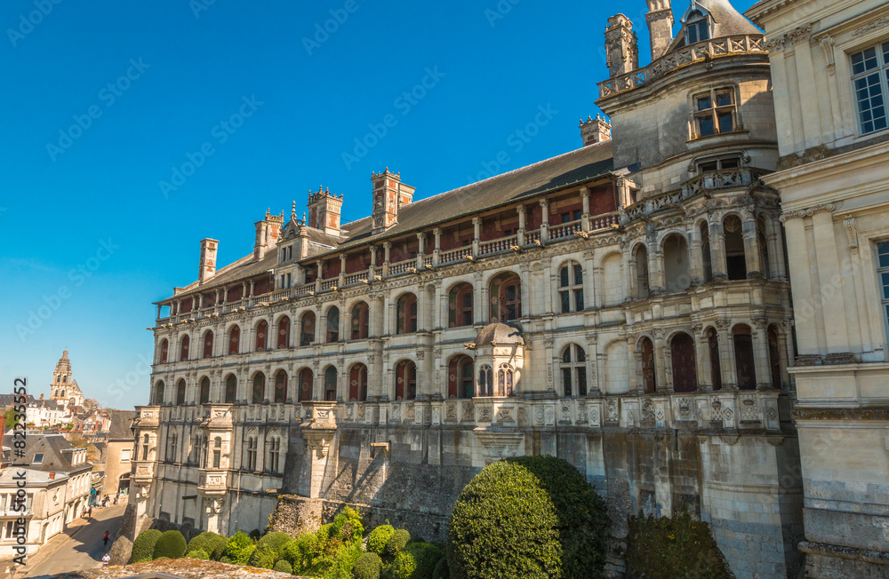 Blois Castle in France