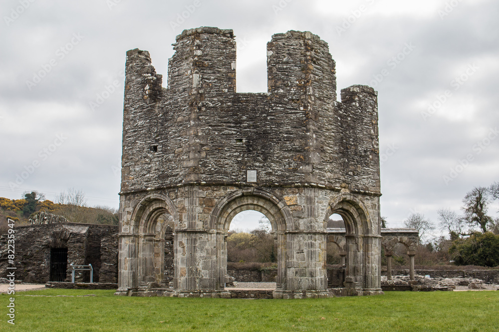 Mellifont Abbey (An Mhainistir Mhór) Ireland