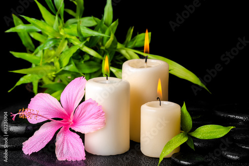 beautiful spa concept of pink hibiscus flower  twig bamboo and t