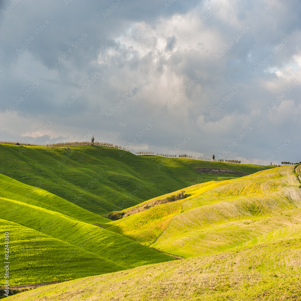 Fototapeta premium Beautiful fields, hills and roads of Tuscany, Italy