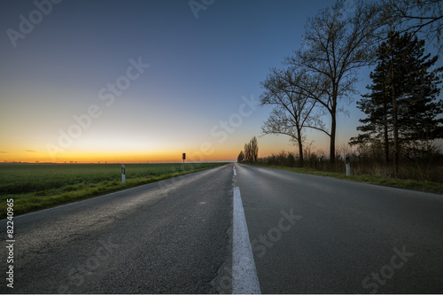 Bare trees by the long empty road at sunset