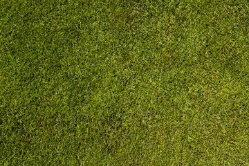 Soccer pitch