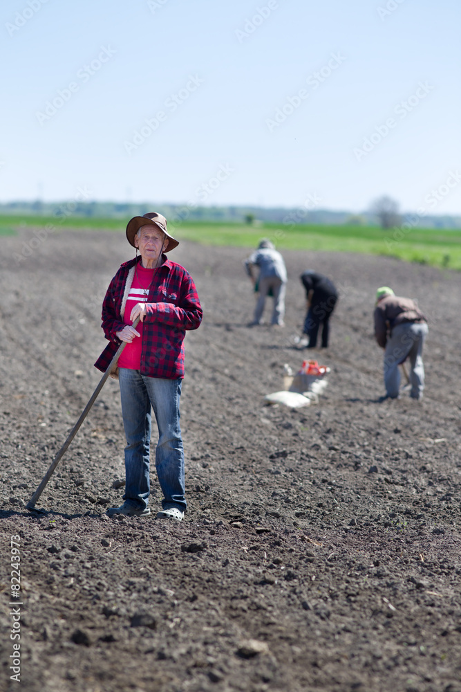 Peasants sowing on farmland
