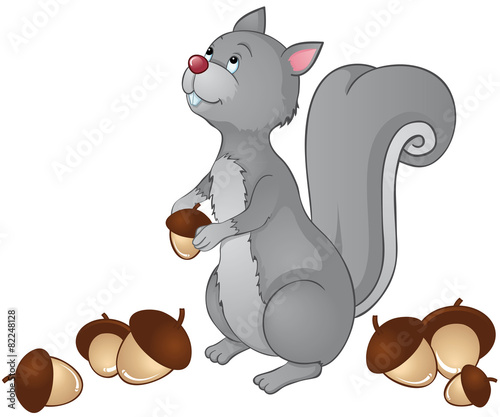 Grauhörnchen sammelt Eicheln