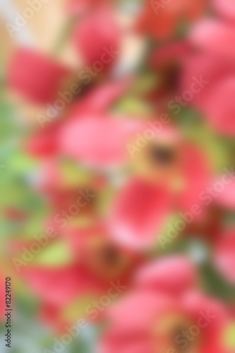 blurred artificial flowers