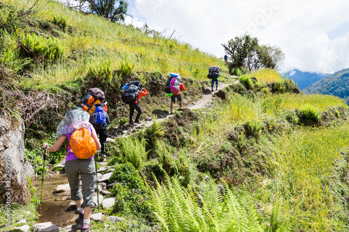 Photography A group of people trekking through a terrace farm