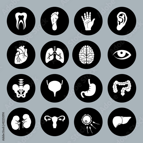 Set of vector Medical Icons with human organs in flat style