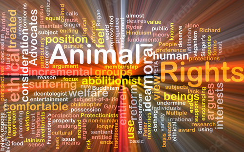 Animal rights wordcloud concept illustration glowing